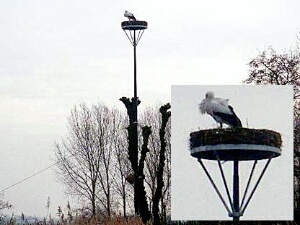 2005