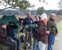 20091003-EuroBirdwatch-Wijnand van den Bosch