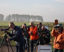 20131006-EuroBirdwatch-Wijnand van den Bosch