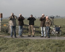 20151003-EuroBirdWatch-Wynand van den Bosch