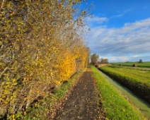 2024-11-17 11h32 Achthovenerpolder - - C=Wintertelling langs polderpaden - Margot Klingers