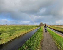 2024-11-17 12h00 Achthovenerpolder - - C=Wintertelling met helder licht - Margot Klingers