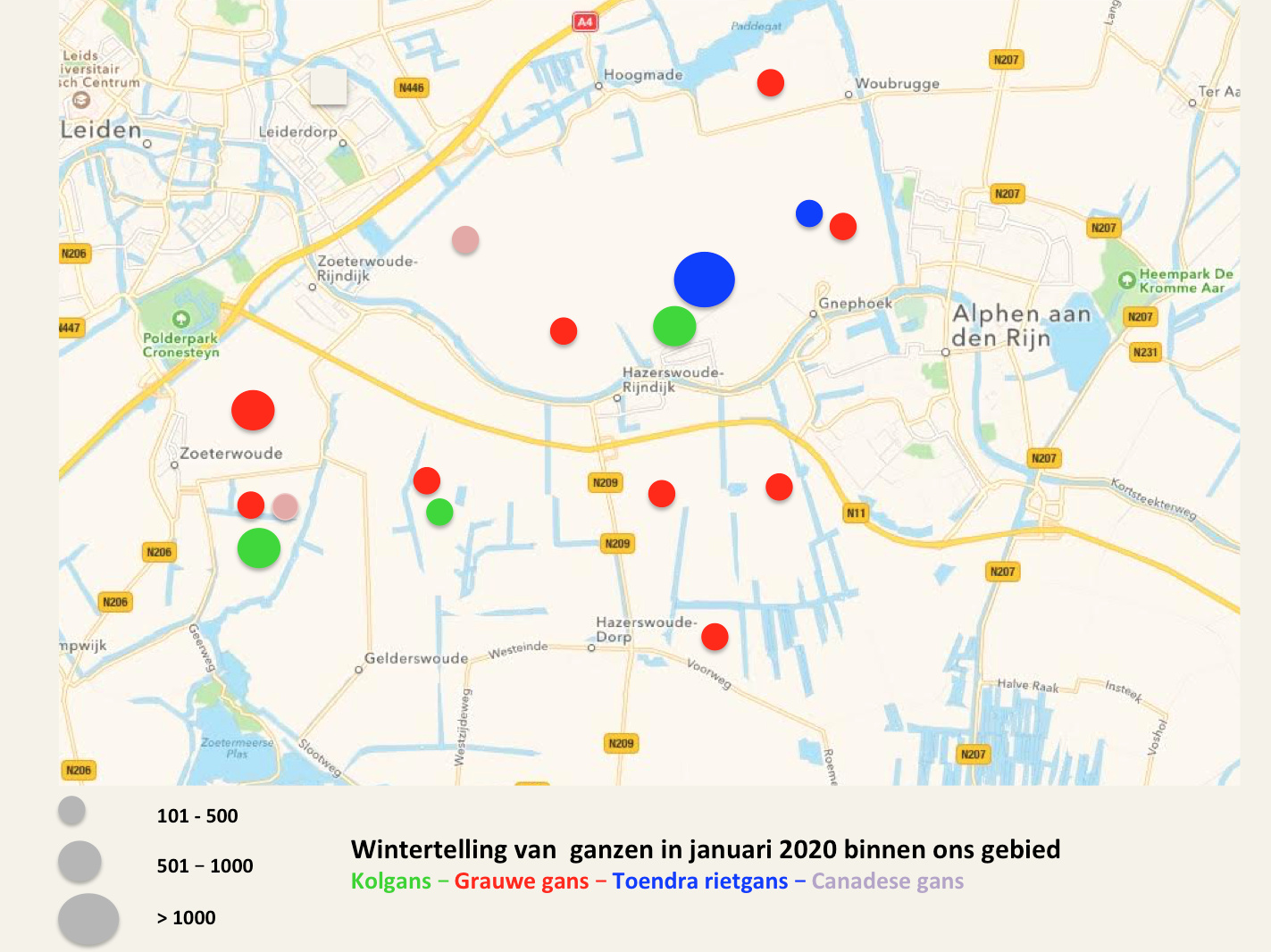 Waar zijn welke ganzen geteld?