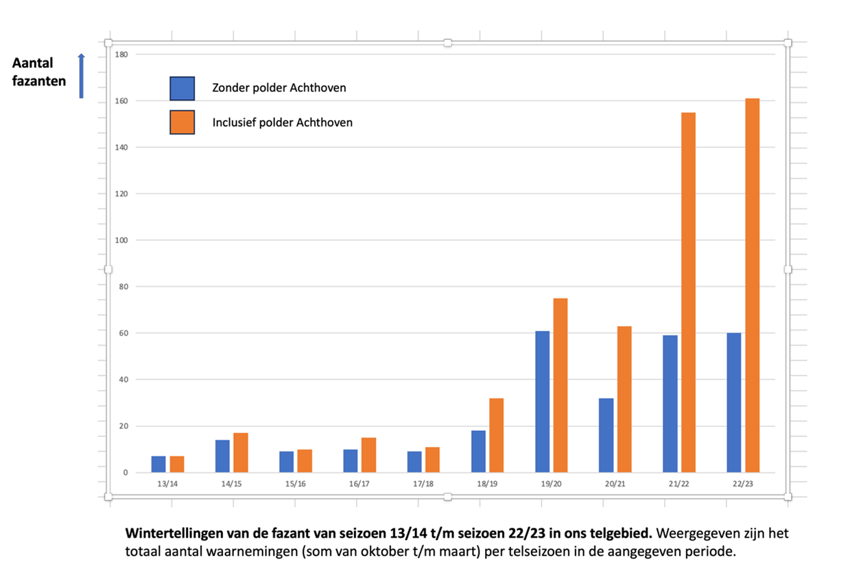 De Polder Achthoven in populair bij de fazanten